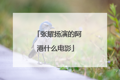 张耀扬演的阿港什么电影