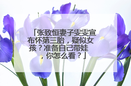 张致恒妻子雯雯宣布怀第三胎，疑似女孩？准备自己带娃 ，你怎么看？