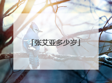 张艾亚多少岁