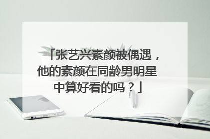 张艺兴素颜被偶遇,他的素颜在同龄男明星中算好看的吗?