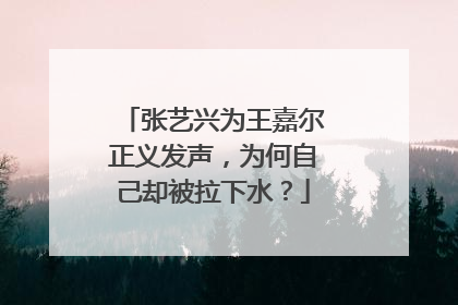 张艺兴为王嘉尔正义发声，为何自己却被拉下水？