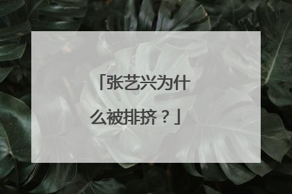 张艺兴为什么被排挤？