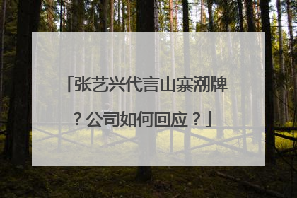 张艺兴代言山寨潮牌？公司如何回应？