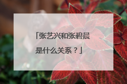 张艺兴和张碧晨是什么关系？