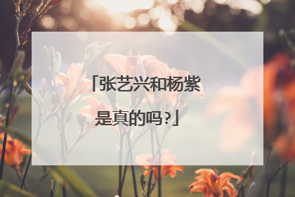 张艺兴和杨紫是真的吗?