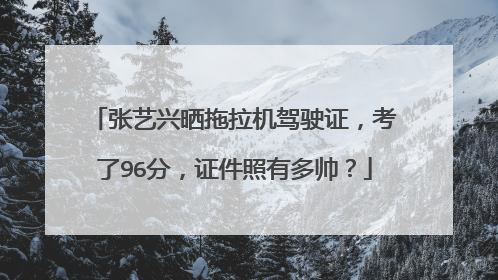 张艺兴晒拖拉机驾驶证,考了96分,证件照有多帅?