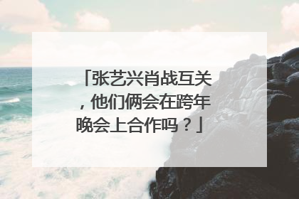 张艺兴肖战互关,他们俩会在跨年晚会上合作吗?