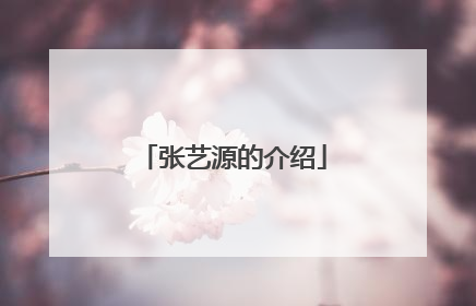 张艺源的介绍