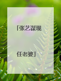 张艺谋现任老婆