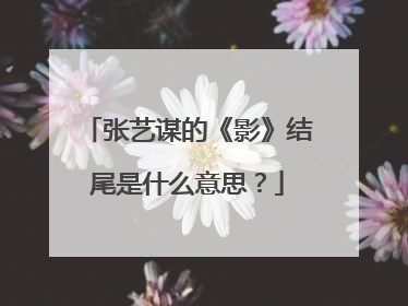 张艺谋的《影》结尾是什么意思？
