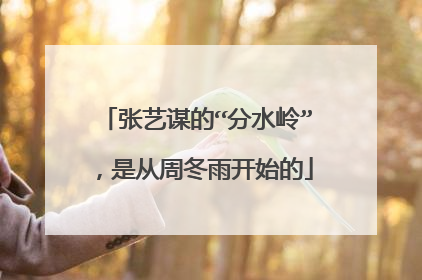 张艺谋的“分水岭”，是从周冬雨开始的