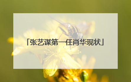 张艺谋第一任肖华现状