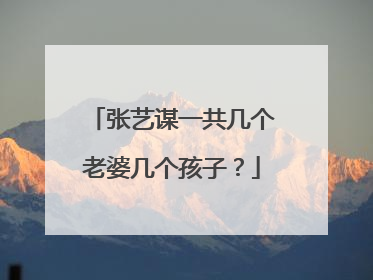 张艺谋一共几个老婆几个孩子?