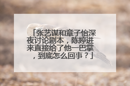 张艺谋和章子怡深夜讨论剧本，陈婷进来直接给了他一巴掌，到底怎么回事？
