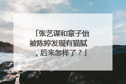 张艺谋和章子怡被陈婷发现有猫腻，后来怎样了？