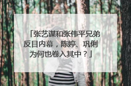 张艺谋和张伟平兄弟反目内幕，陈婷、巩俐为何也卷入其中？