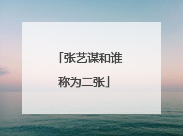 张艺谋和谁称为二张