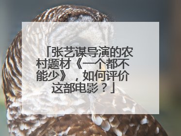 张艺谋导演的农村题材《一个都不能少》，如何评价这部电影？