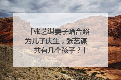 张艺谋妻子晒合照为儿子庆生，张艺谋一共有几个孩子？