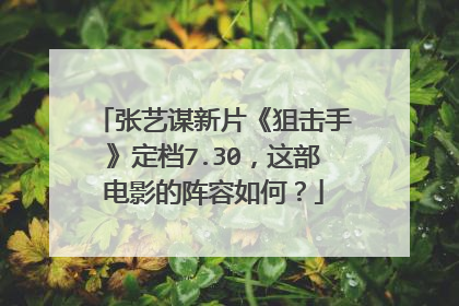 张艺谋新片《狙击手》定档7.30，这部电影的阵容如何？