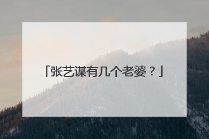 张艺谋有几个老婆？