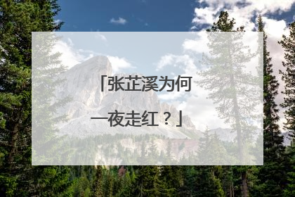 张芷溪为何一夜走红?