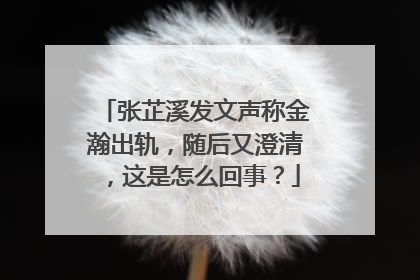 张芷溪发文声称金瀚出轨，随后又澄清，这是怎么回事？