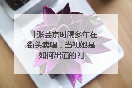 张芸京时隔多年在街头卖唱,当初她是如何出道的?