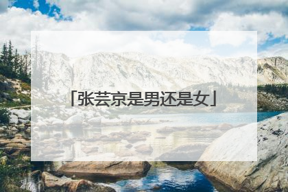 张芸京是男还是女