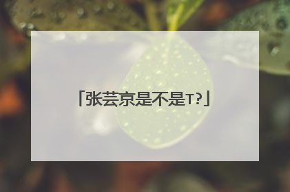 张芸京是不是T?