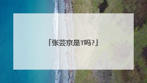 张芸京是T吗?