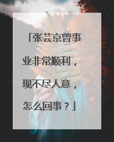 张芸京曾事业非常顺利，现不尽人意，怎么回事？