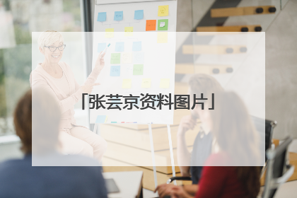 张芸京资料图片