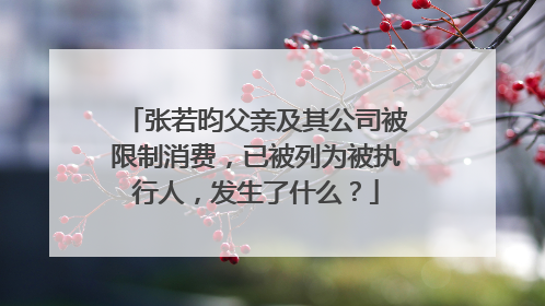 张若昀父亲及其公司被限制消费,已被列为被执行人,发生了什么?