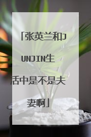 张英兰和JUNJIN生活中是不是夫妻啊