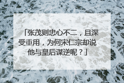 张茂则忠心不二，且深受重用，为何宋仁宗却说他与皇后谋逆呢？