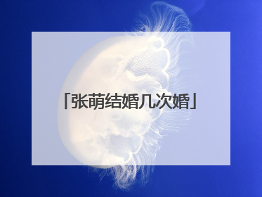 张萌结婚几次婚