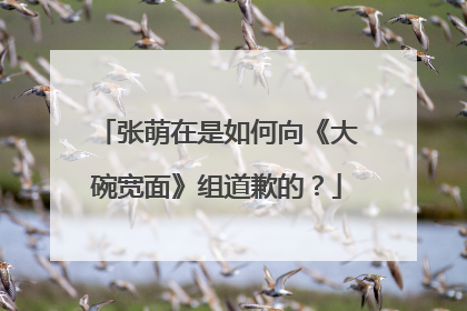 张萌在是如何向《大碗宽面》组道歉的？
