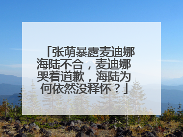张萌暴露麦迪娜海陆不合,麦迪娜哭着道歉,海陆为何依然没释怀?