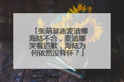 张萌暴露麦迪娜海陆不合，麦迪娜哭着道歉，海陆为何依然没释怀？