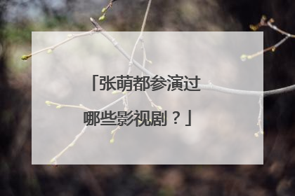 张萌都参演过哪些影视剧?
