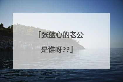 张蓝心的老公是谁呀??