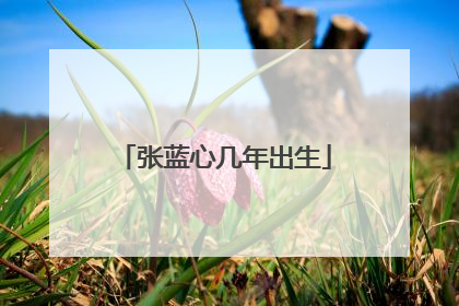 张蓝心几年出生