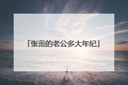 张蕾的老公多大年纪