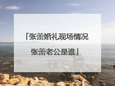 张蕾婚礼现场情况 张蕾老公是谁