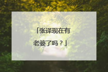 张译现在有老婆了吗?