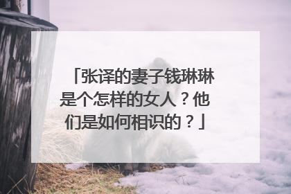 张译的妻子钱琳琳是个怎样的女人？他们是如何相识的？