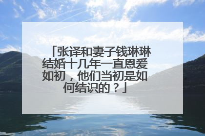 张译和妻子钱琳琳结婚十几年一直恩爱如初，他们当初是如何结识的？