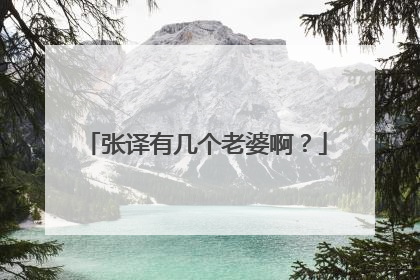 张译有几个老婆啊？