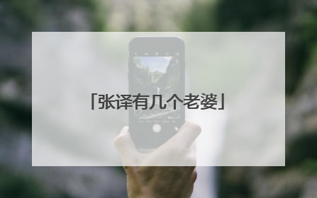 张译有几个老婆